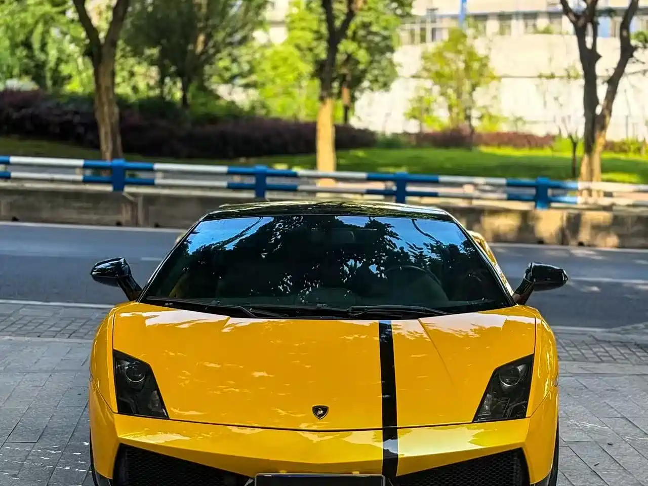 Lamborghini Gallardo 2011 LP 550-2 Tricolore фото 2