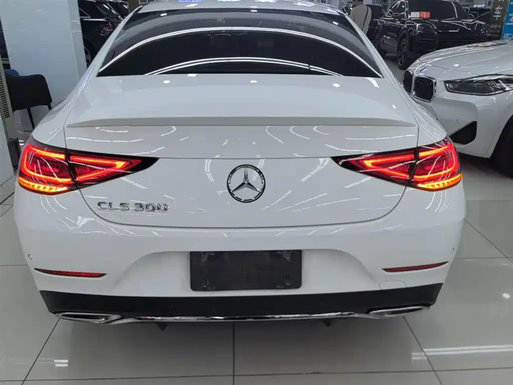 Mercedes-Benz CLS 2021 CLS 300 Luxury фото 6