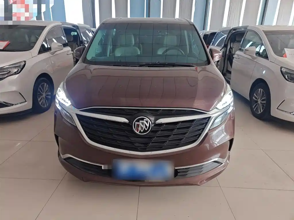Buick GL8 2022 ES Landmark 653T Comfort фото 3