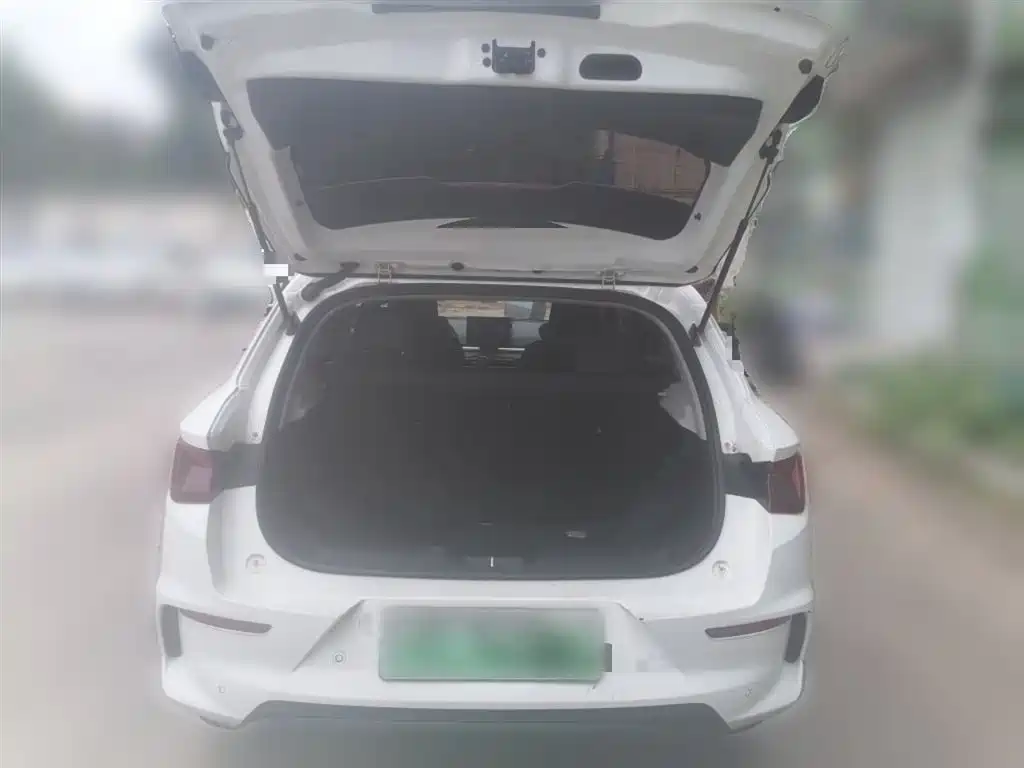 BYD e2 2021 Comfort Model фото 10