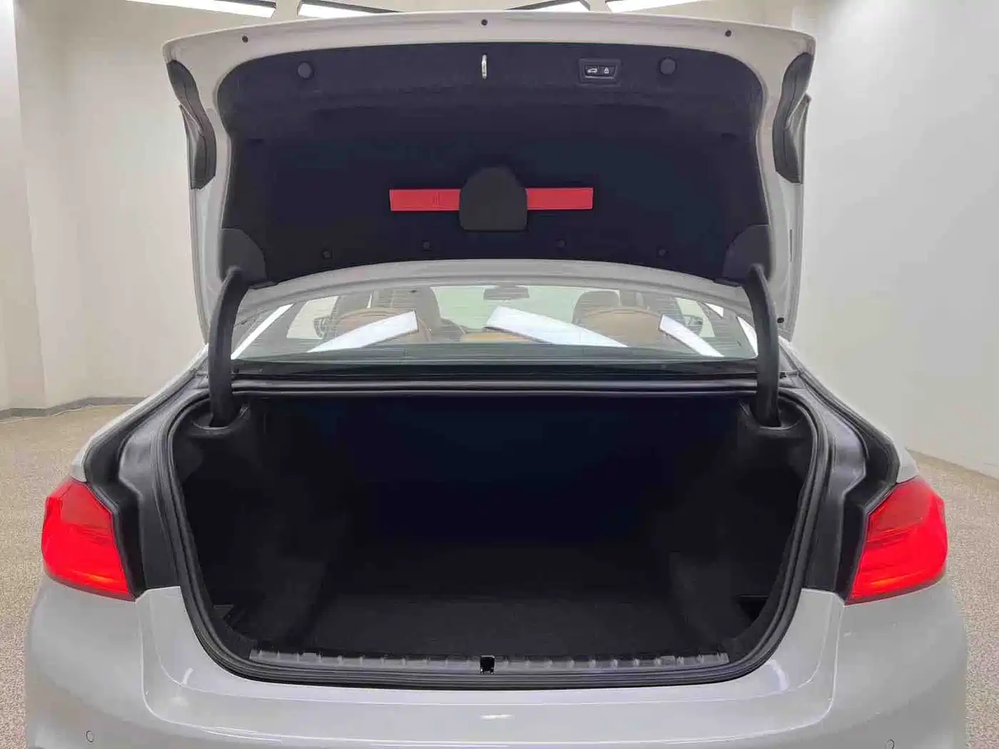 BMW 5 Series 2020 530Li Leading M Sport Package фото 28
