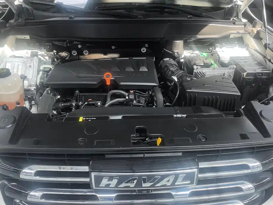 Haval Big Dog 2021 1.5T DCT 2WD Border Collie Edition фото 10