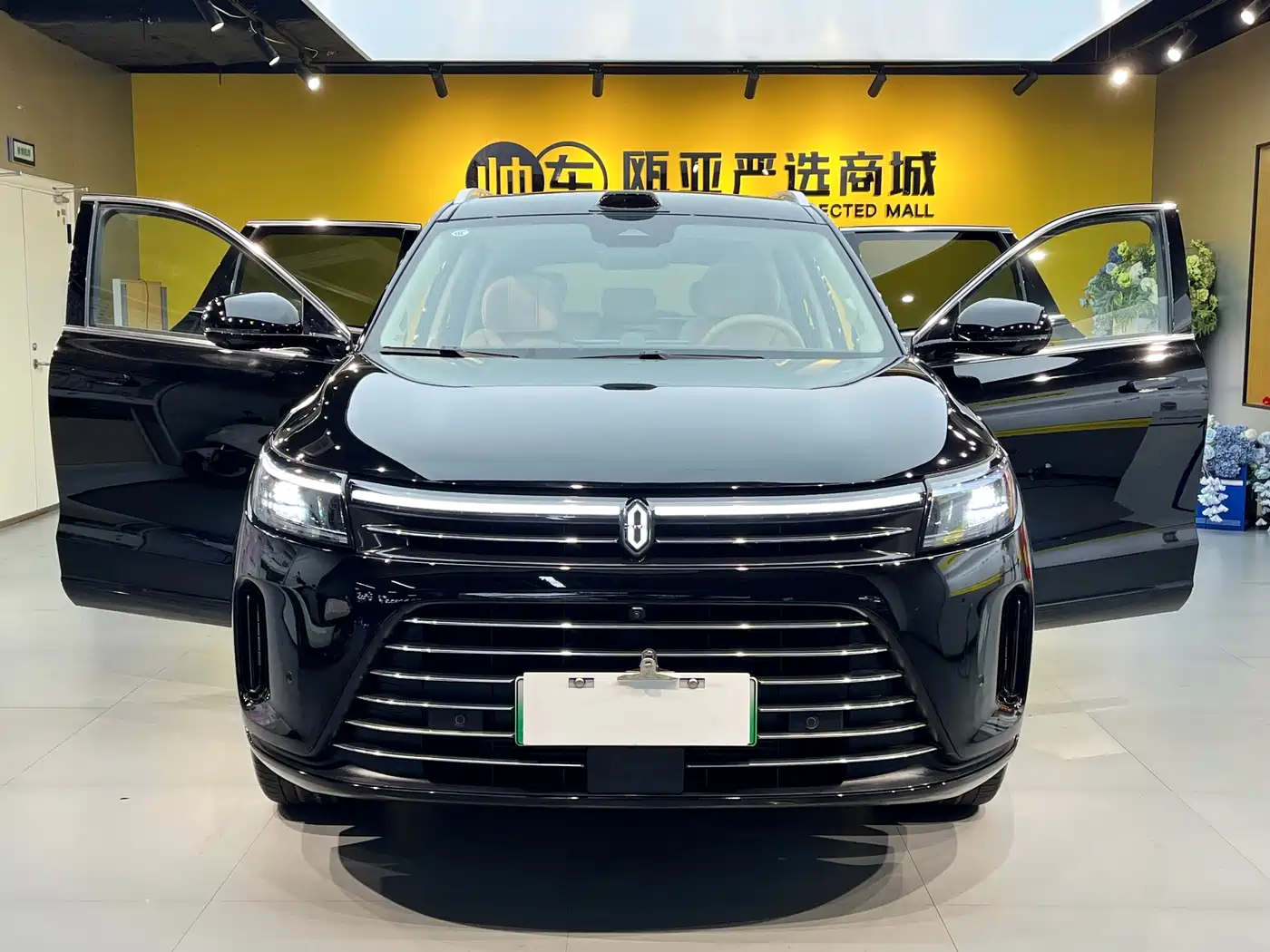 AITO Wenjie AITO M7 2024 1.5T AWD Plus 5-Seater фото 11