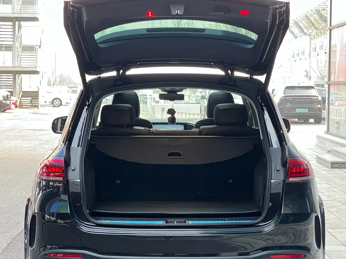 MERCEDES-BENZ GLE NEW ENERGY