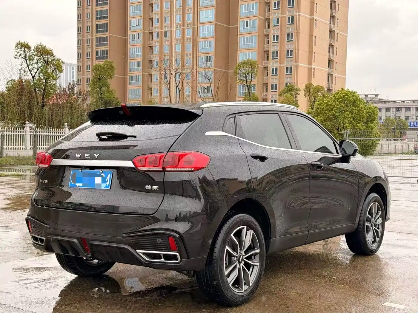 WEI PAI WEI BRAND VV5