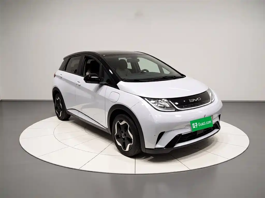 BYD Dolphin 2021 Model 405km Fashion Edition фото 8