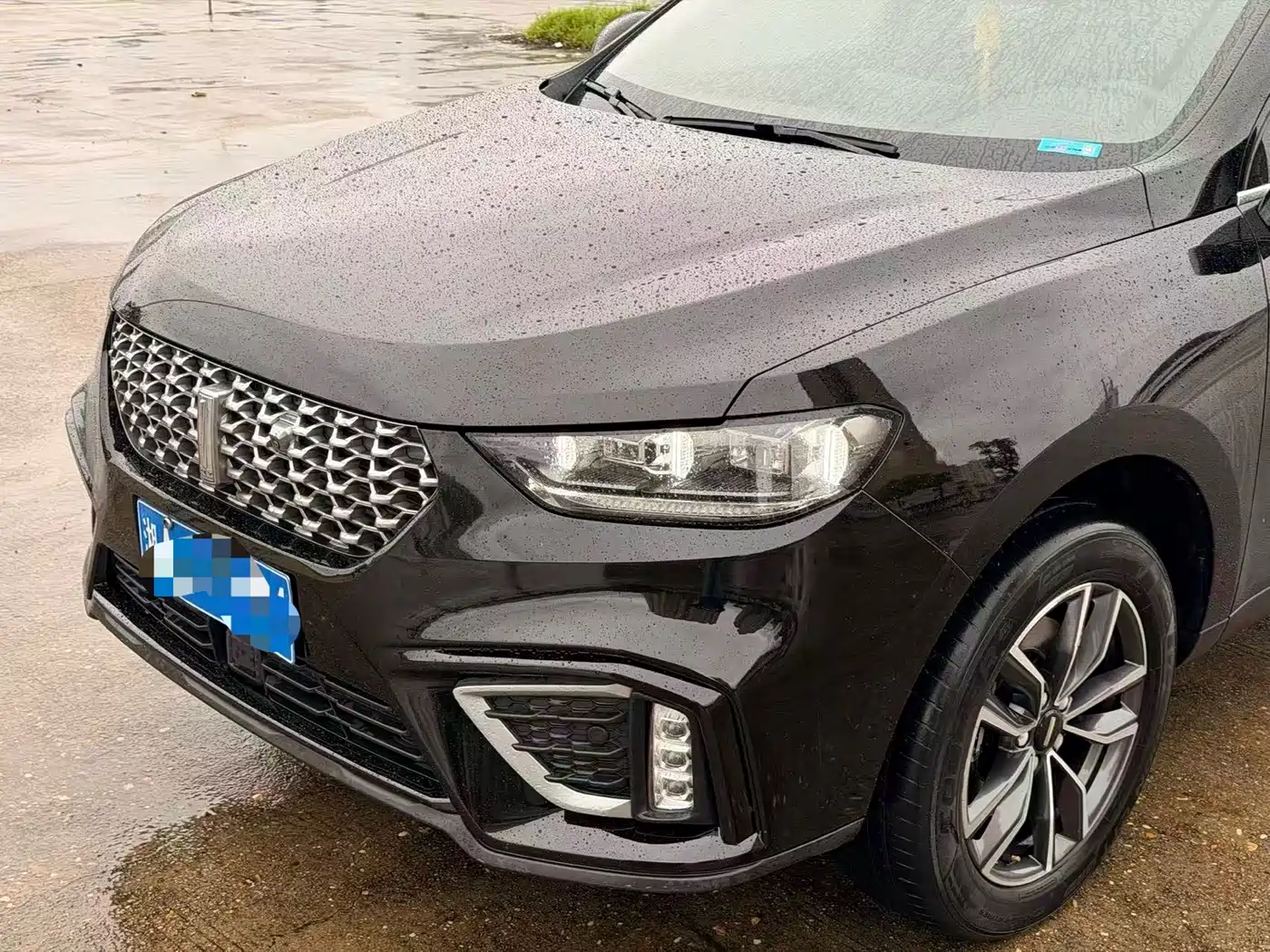 WEI PAI WEI BRAND VV5