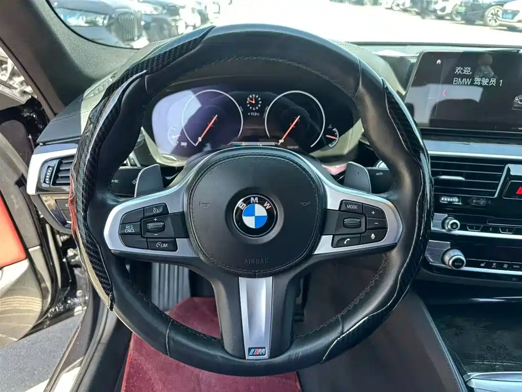 BMW 5 Series 2019 530Li Leading M Sport Package фото 12