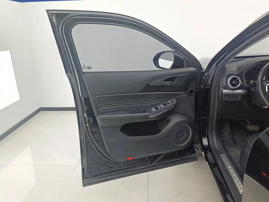 WEY VV5 2021 2021 1.5T 2WD Style Pioneer