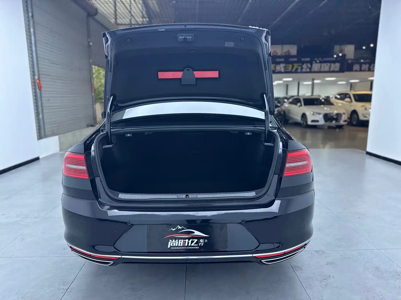 Volkswagen Magotan 2017 330TSI DSG Luxury фото 22