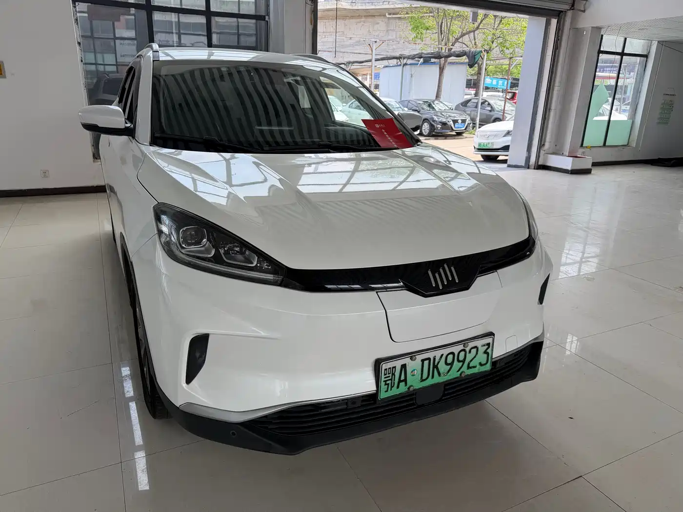 Weltmeister WEIMA EX5