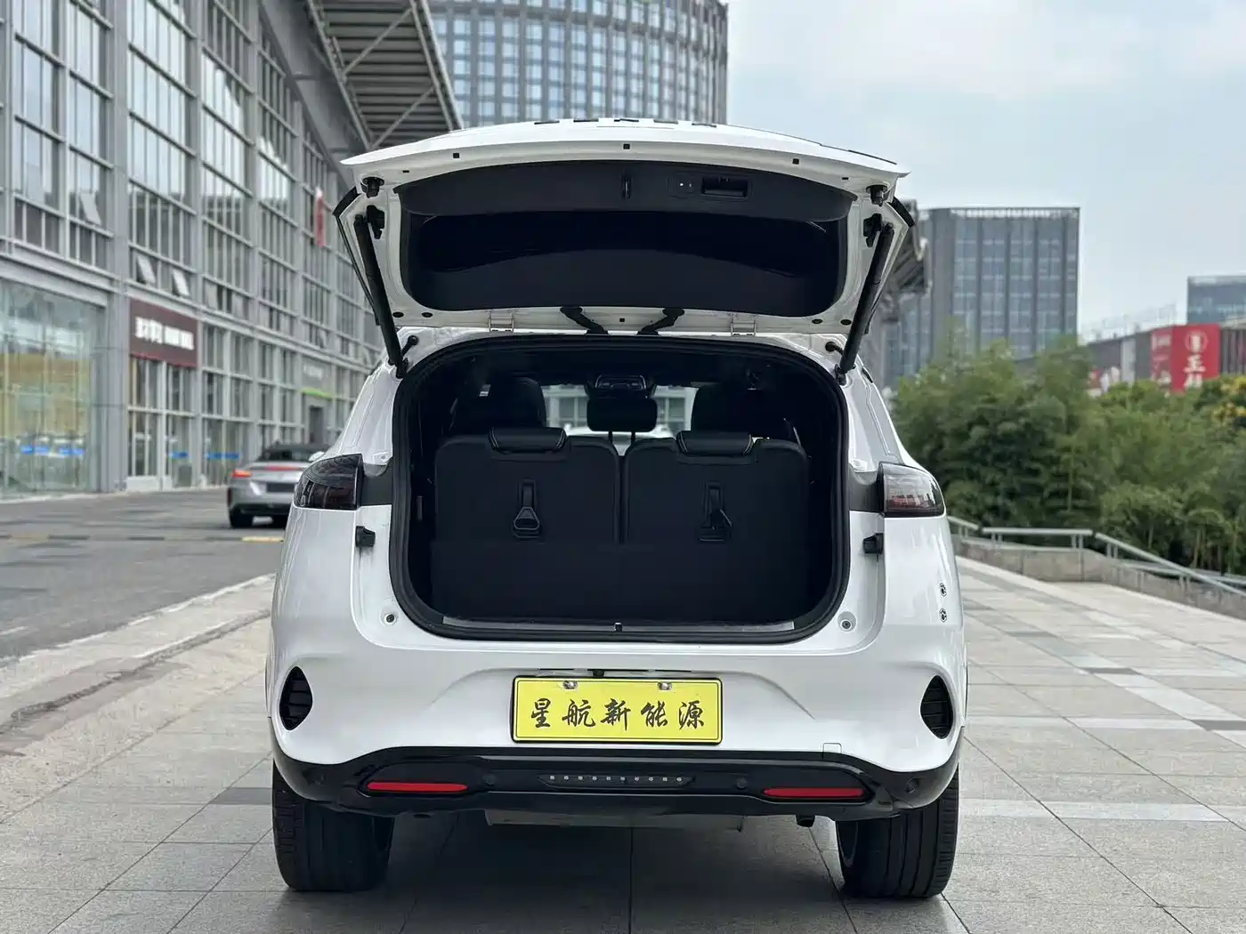Denza X 2020 2020 PHEV Sport Edition
