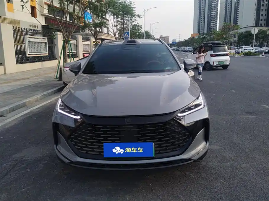 BYD Tang New Energy 2025 DM-i 115KM Pilot фото 2