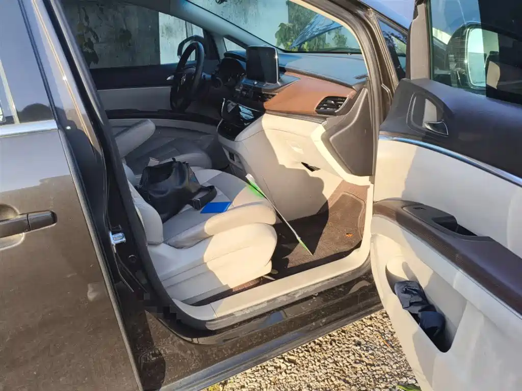 Buick GL8 2021 Land Business Class 652T Comfort фото 20