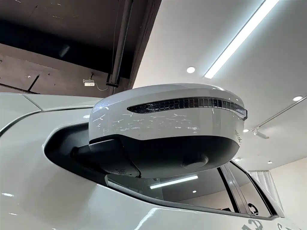 Dongfeng Fengdu Paladin 2023 Model 2.0T 4WD Premium Edition фото 22
