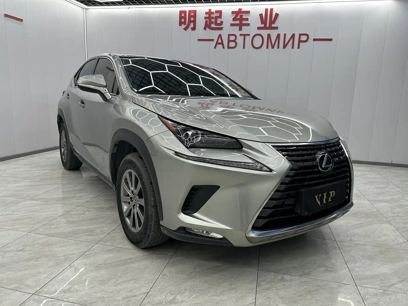 LEXUS NX