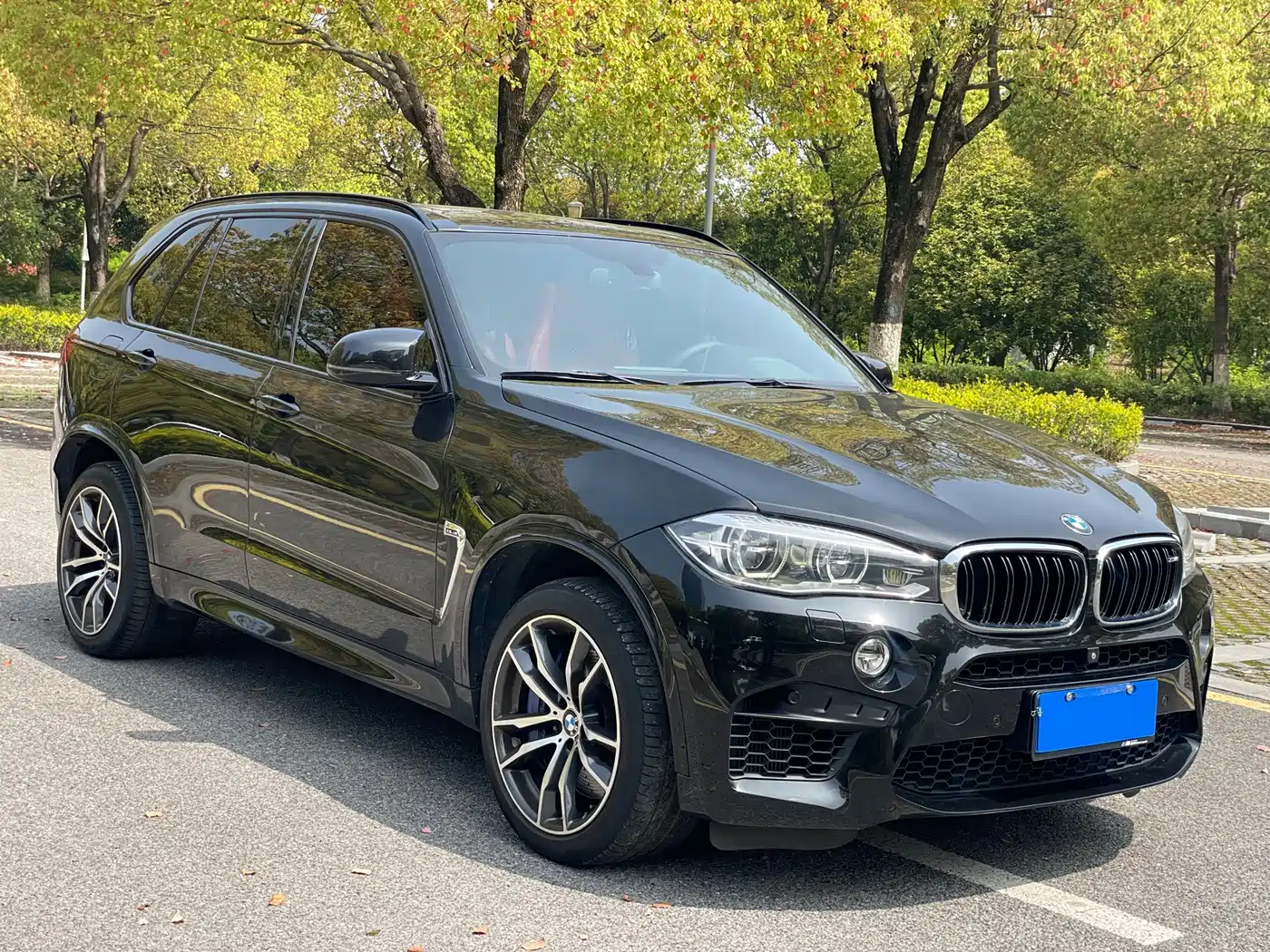 BMW X5 M 2013 X5 M фото 14