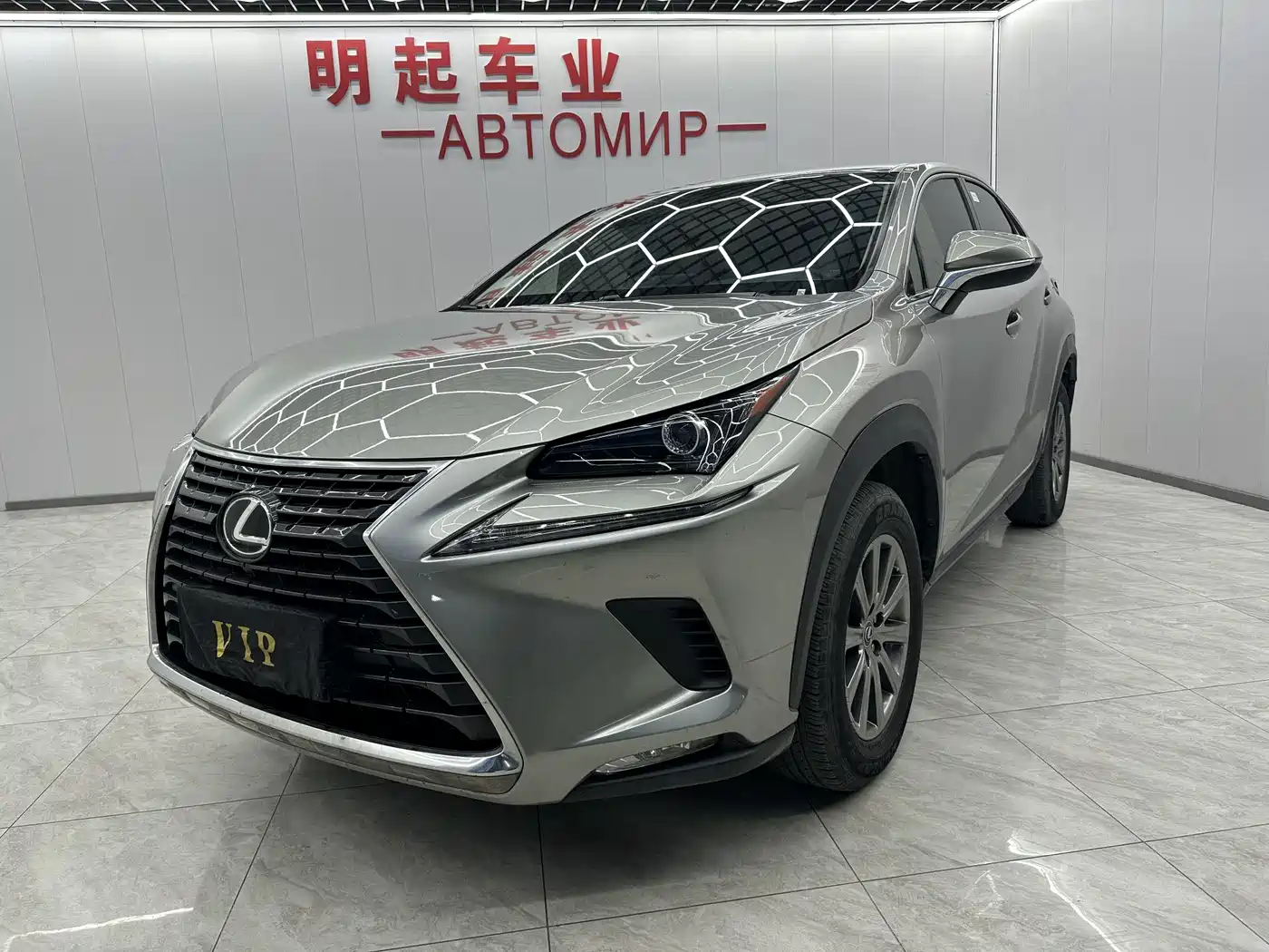 LEXUS NX