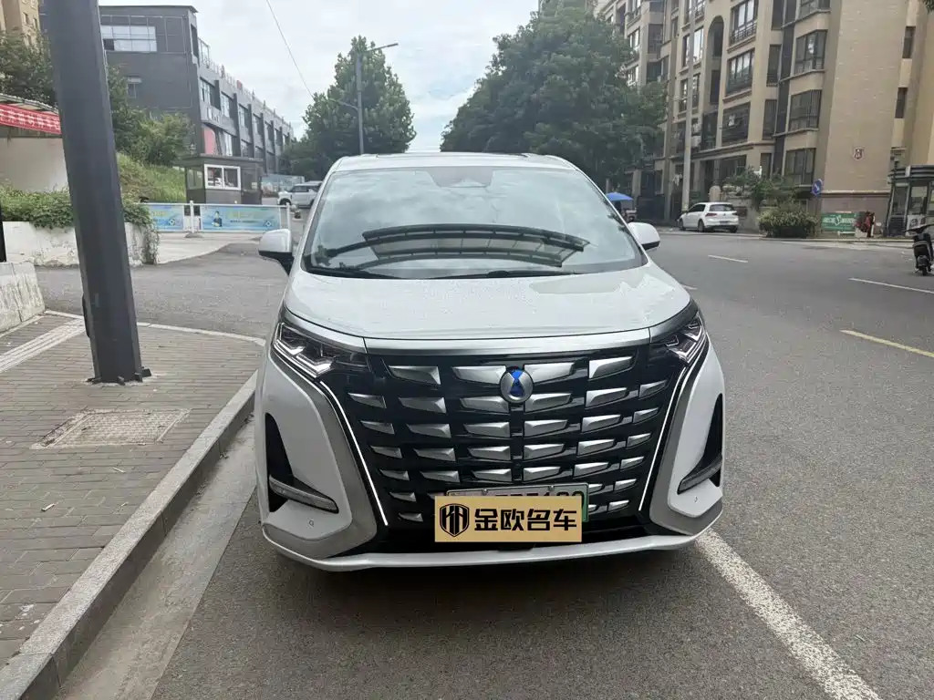 Denza D9 2023 2022 DM-i 970 AWD Flagship