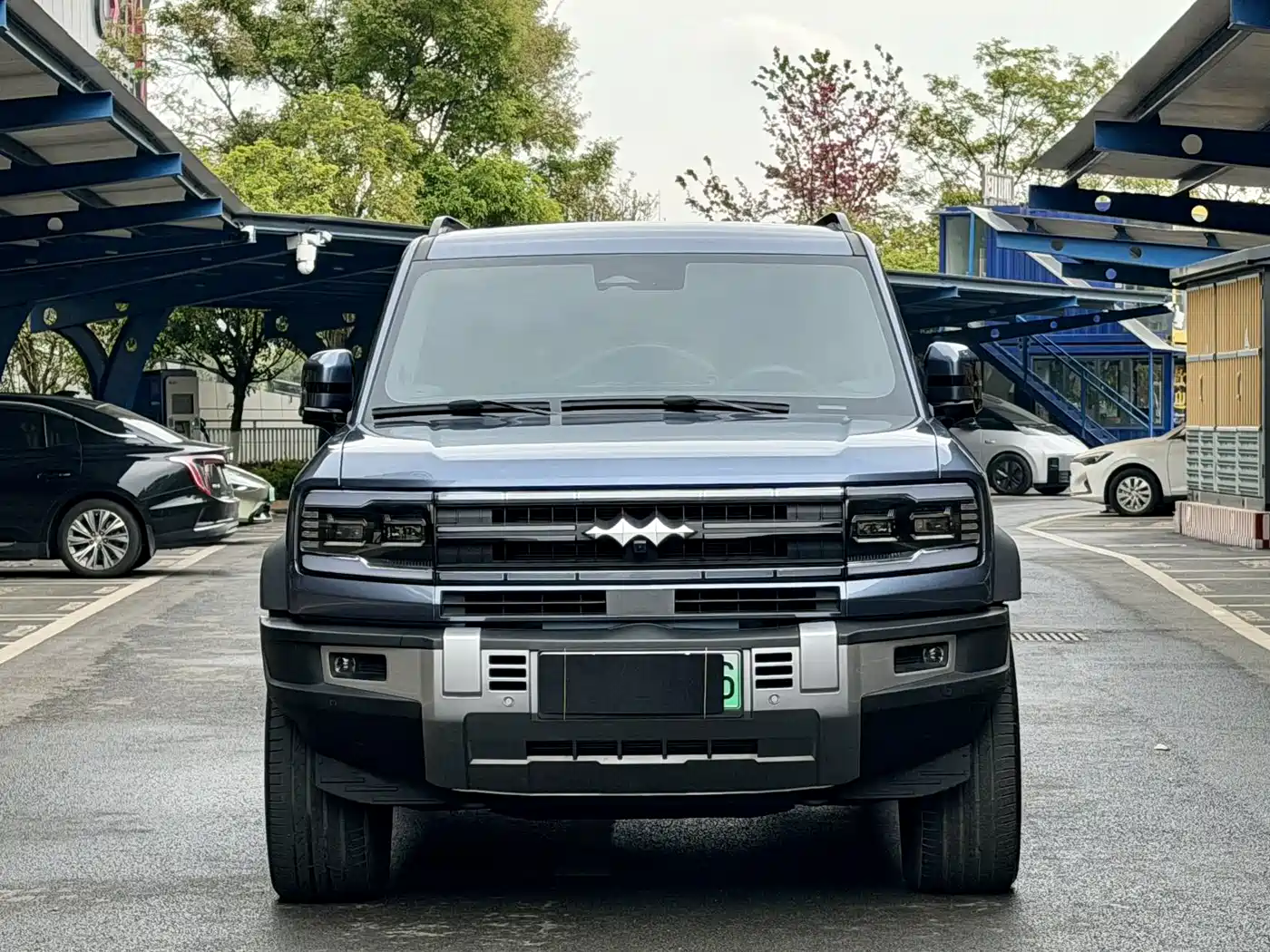 FANG CHENG BAO LEOPARD 5