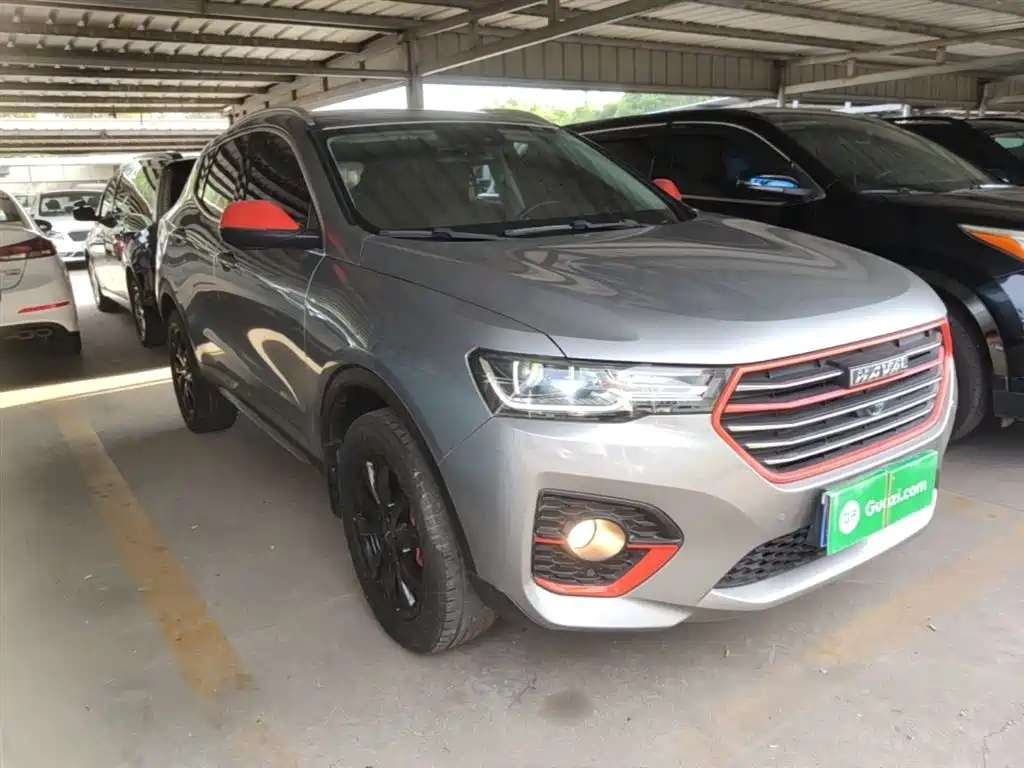 Haval H4 2019 1.5GDIT Pro Edition China VI фото 4