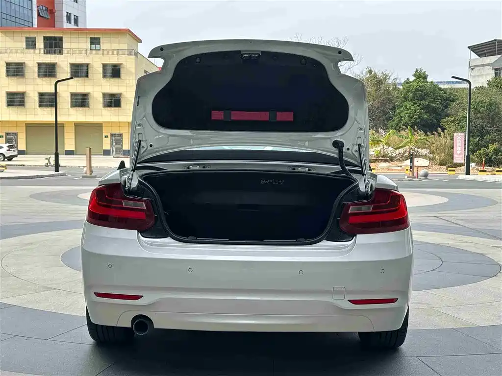 BMW 2 Series (Import) 2015 218i Convertible Coupe фото 20