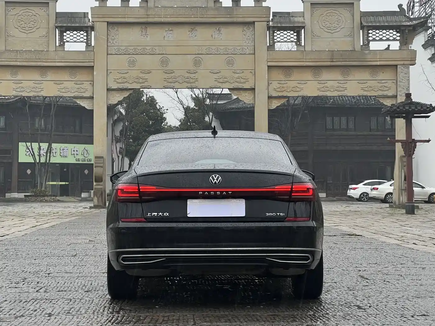 Volkswagen Passat 2024 380TSI Starlight Dragon Soaring Edition фото 5