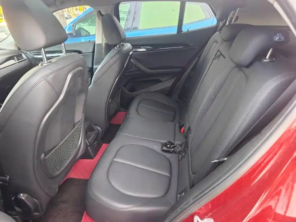 BMW X2 (Import) 2019 2019 sDrive20i M Off-Road Package China VI