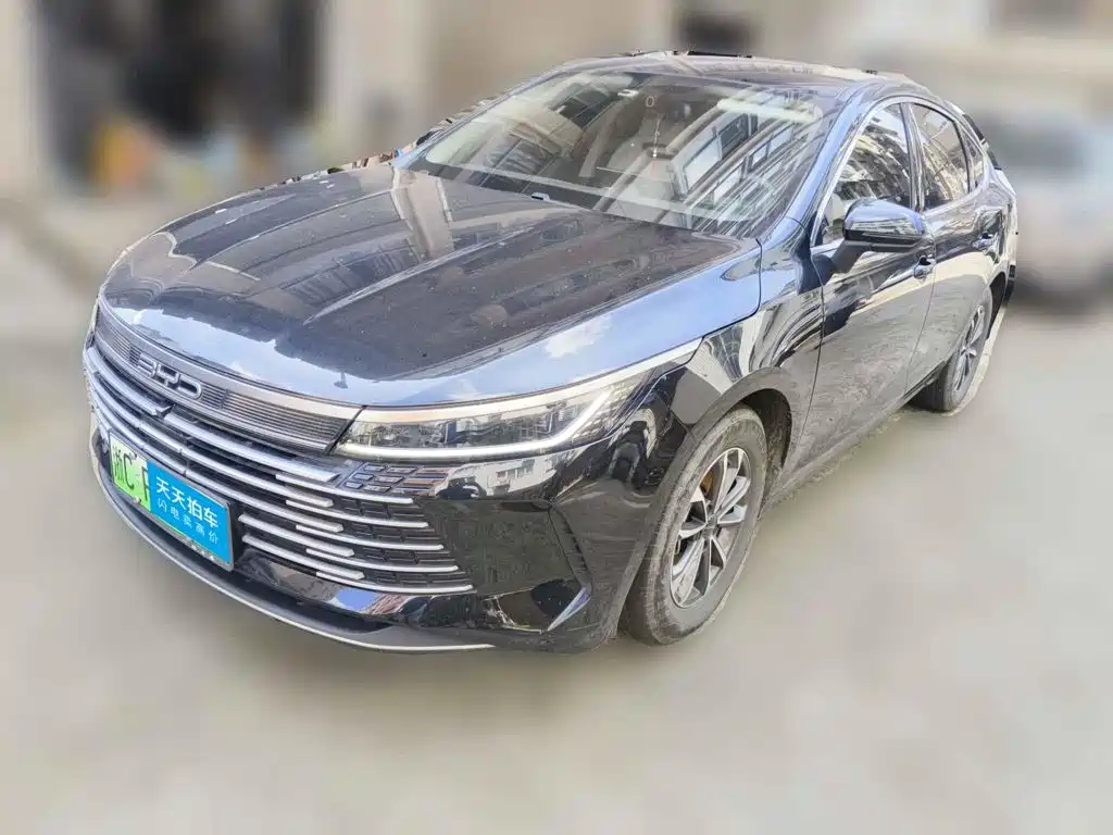 BYD Destroyer 05 2024 Glory Edition DM-i 55KM Luxury