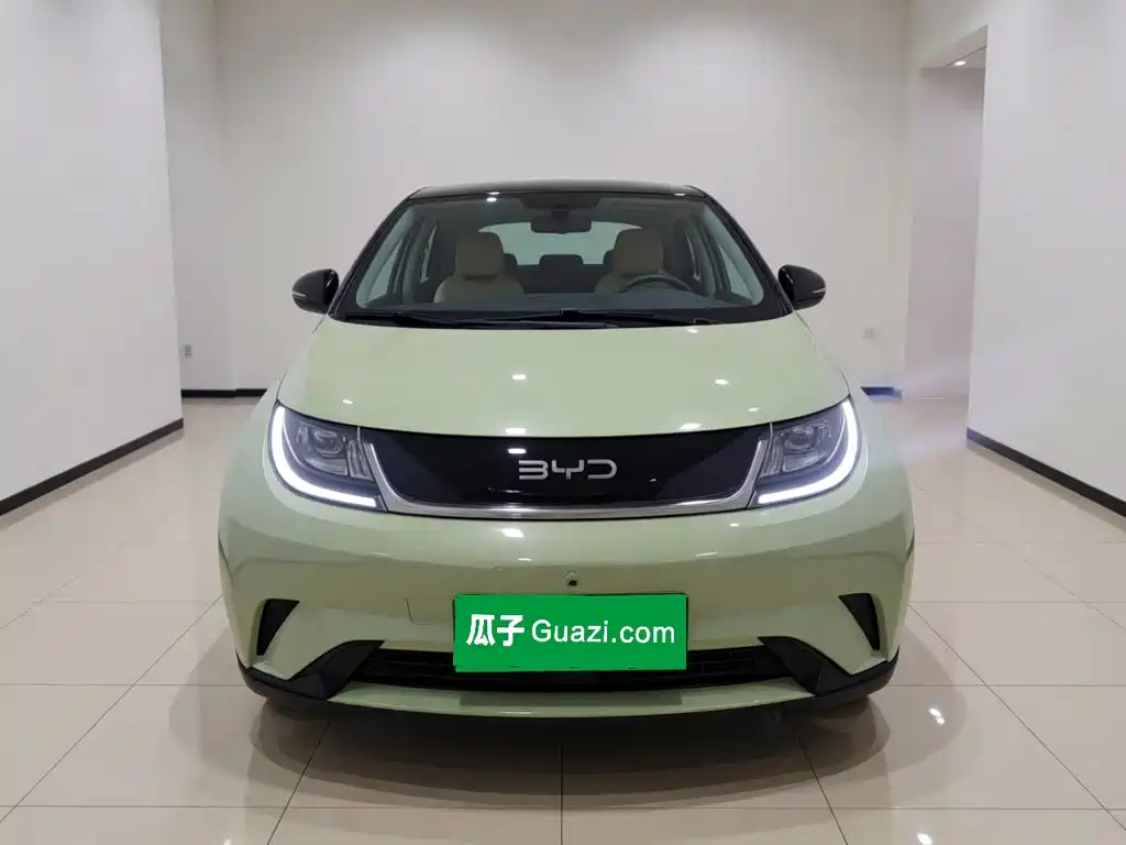 BYD Dolphin 2026 2025 420km Freedom Edition