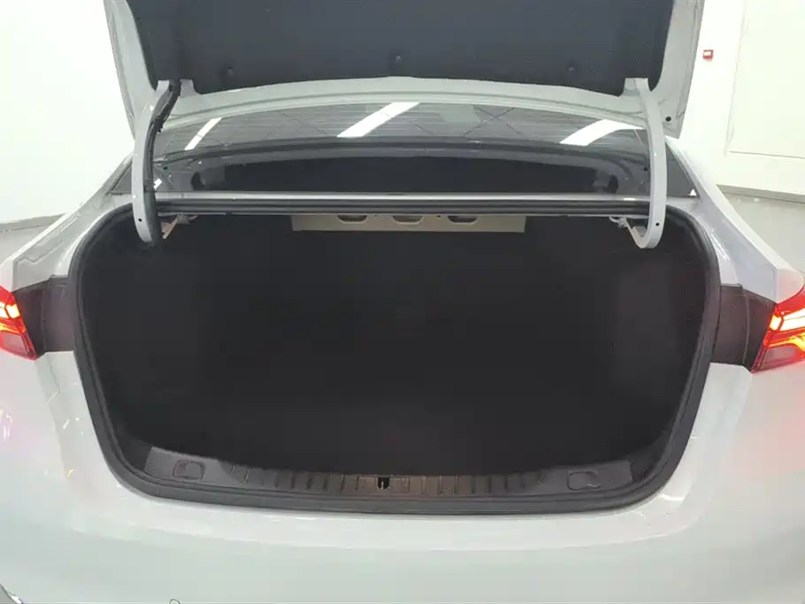 BUICK WEILANG