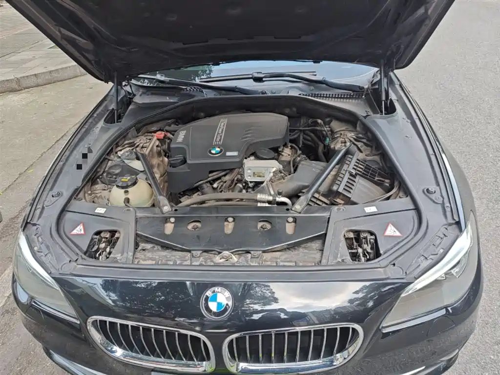 BMW 5 Series (Import) 2014 520i Classic фото 11