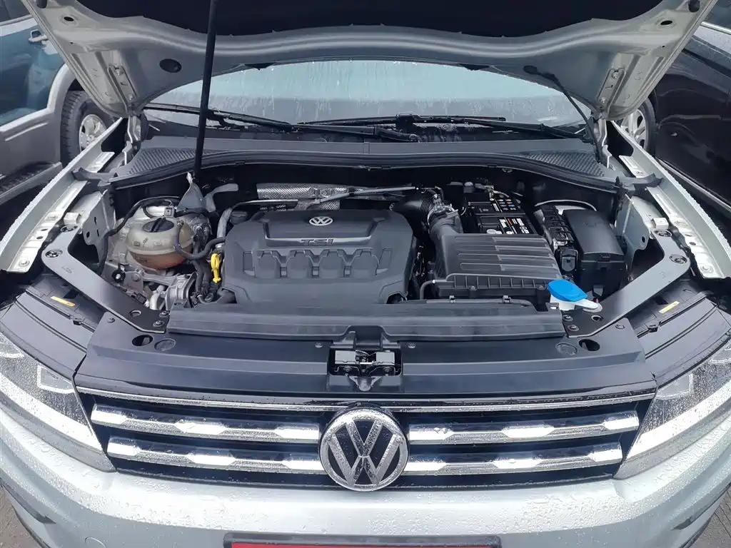 Volkswagen Tiguan L 2019 Facelift 330TSI Auto 2WD Smart Luxury China VI фото 20