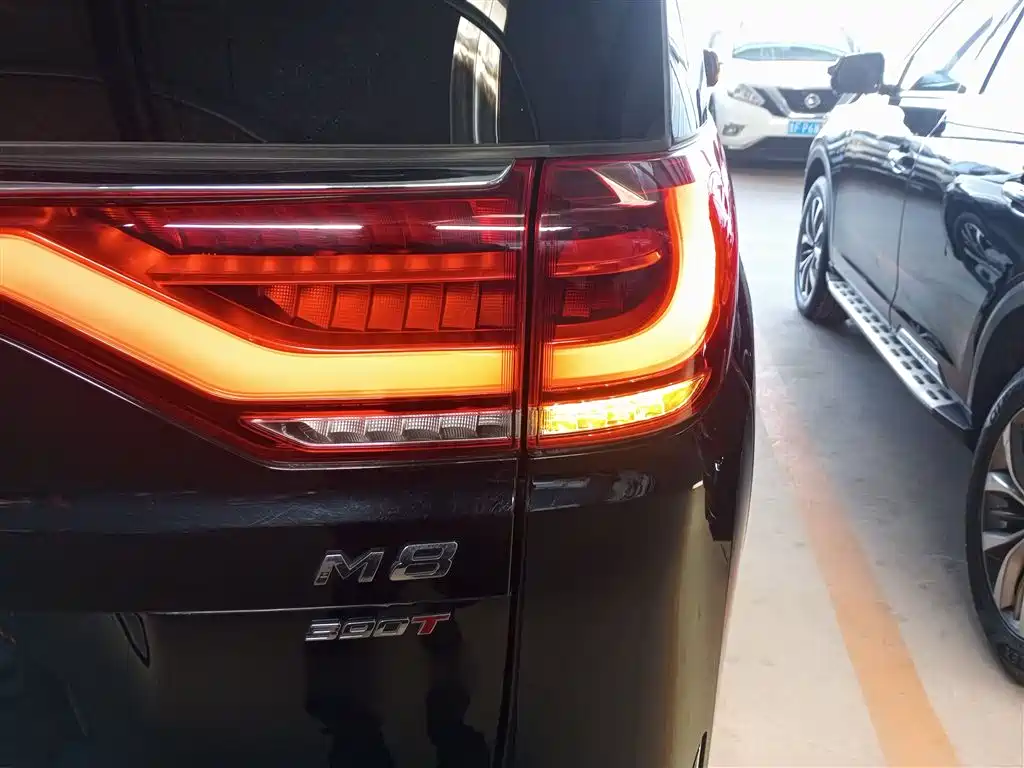 GAC Trumpchi Trumpchi M8 2023 Leading Series 390T Premium Edition фото 24