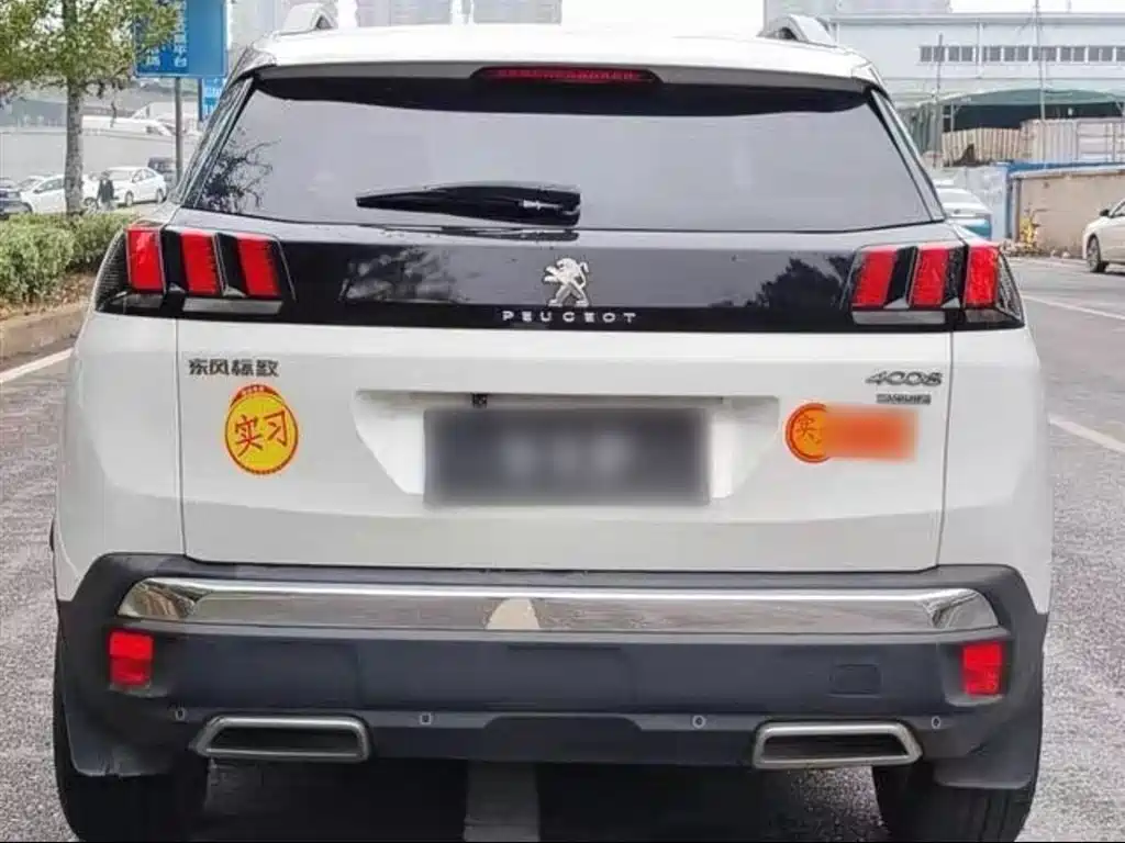 Peugeot 4008 2019 350THP Leading Edition фото 12