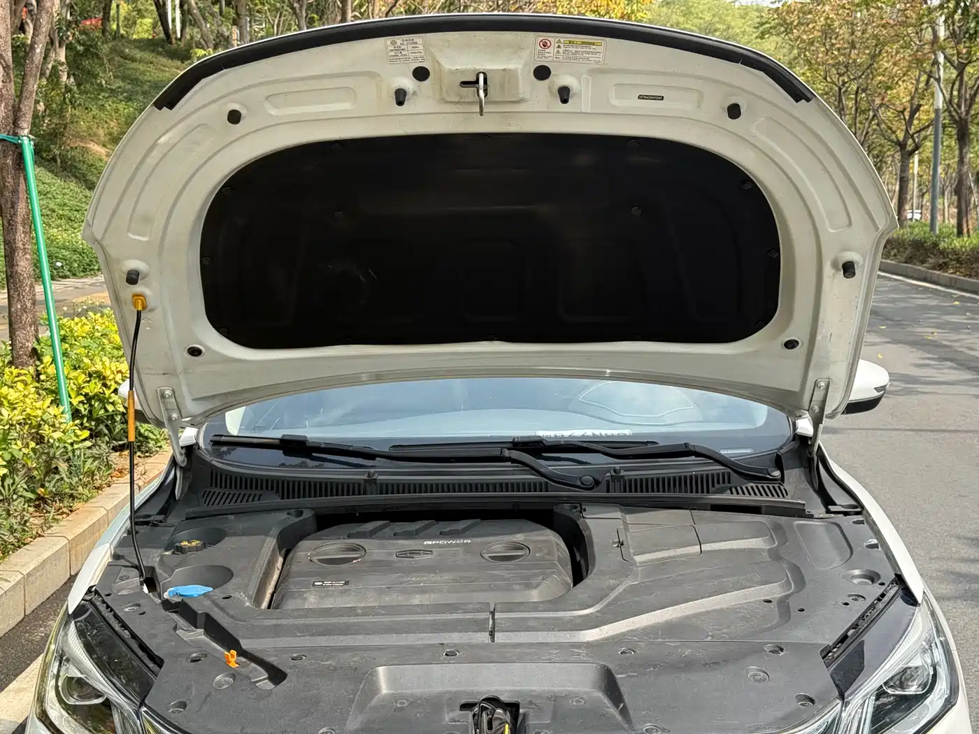 GEELY AUTOMOBILE BINRUI