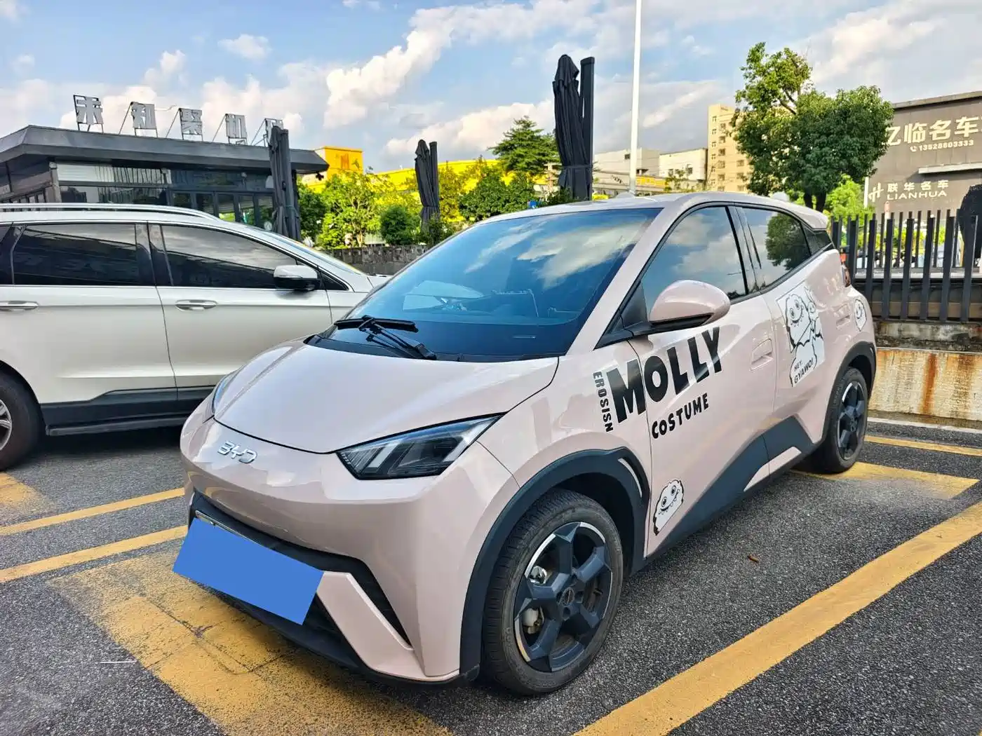 BYD Seagull 2024