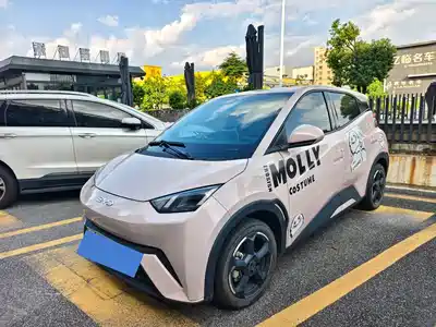 BYD Seagull