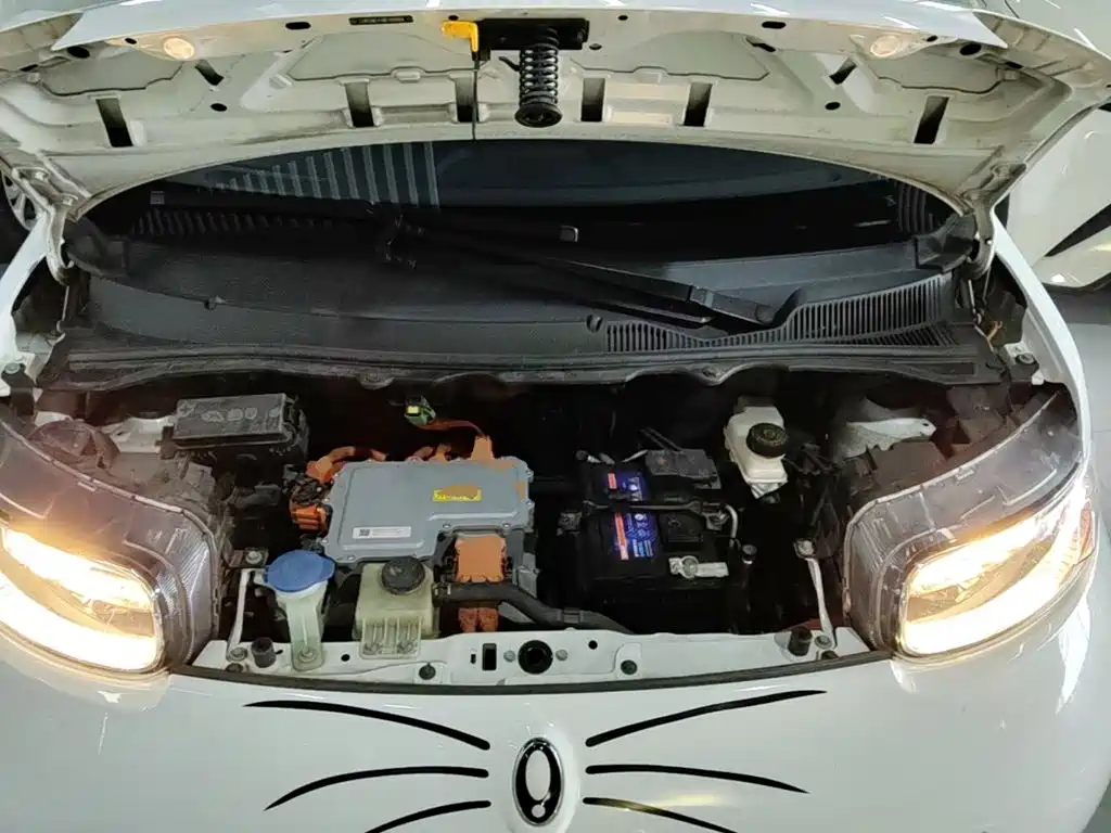 Ora White Cat 2022 2022 Upgraded 305km Luxury (NMC)