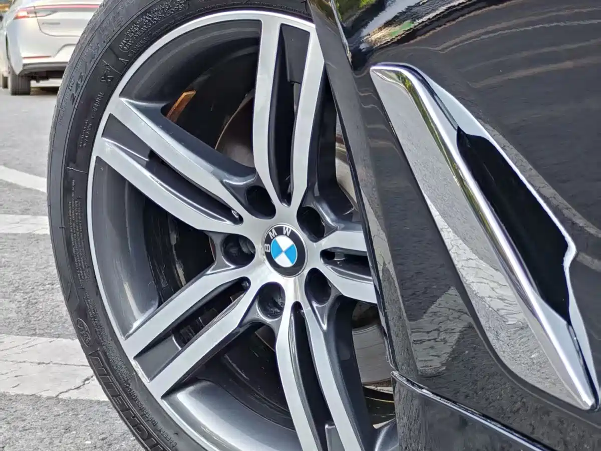 BMW 5 Series 2021 530Li Leading Luxury Package фото 8