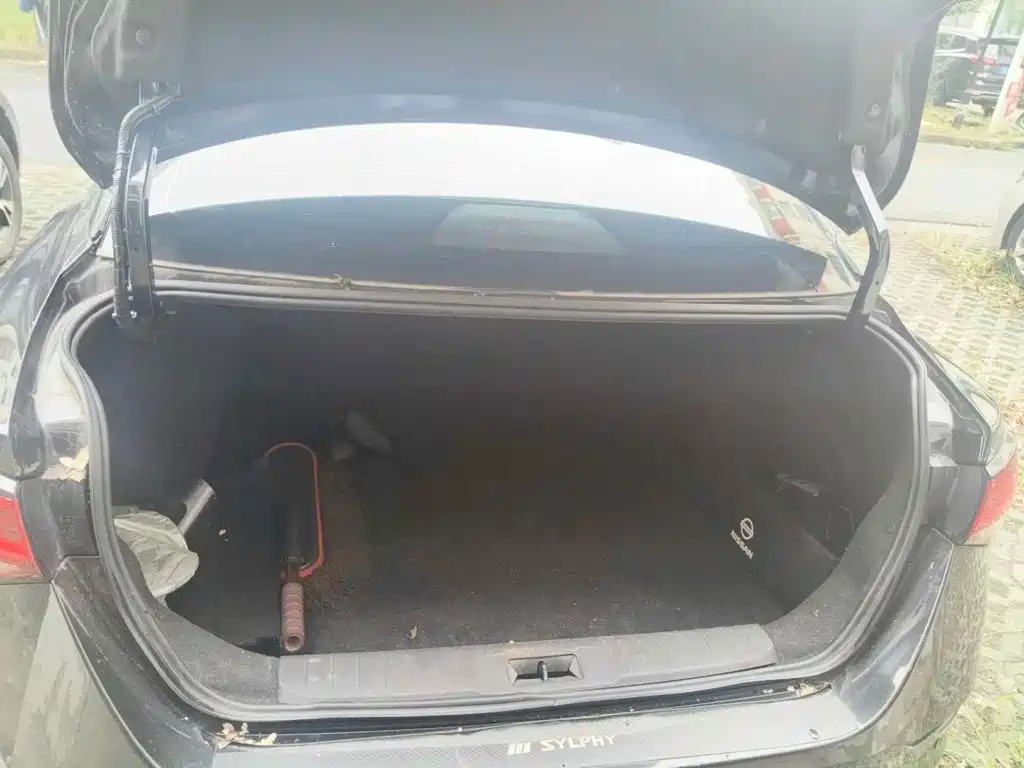 Фото 5 - Nissan Sylphy