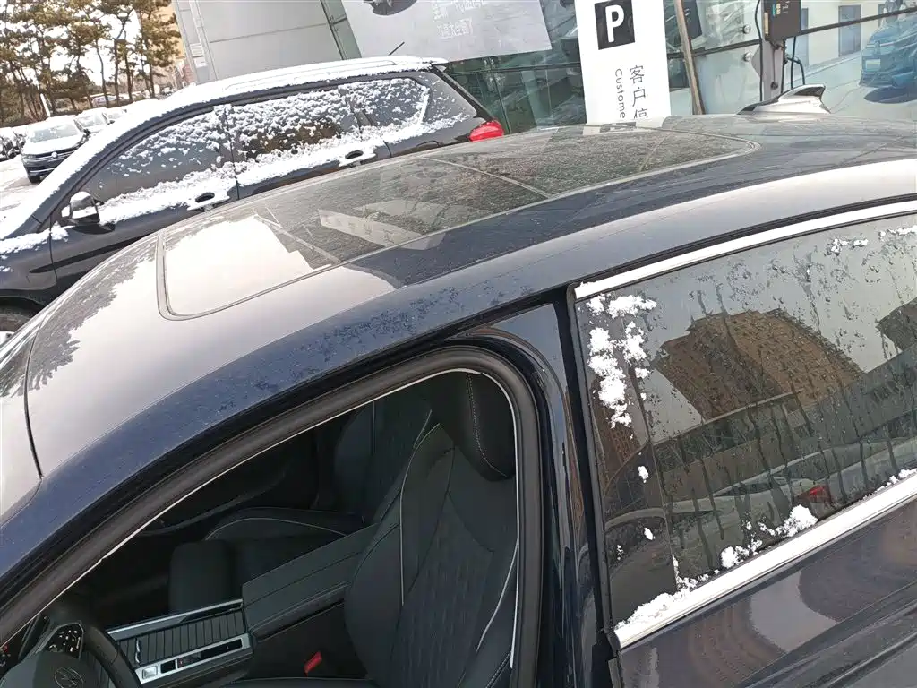 Volkswagen Magotan 2024 380TSI DSG Ultimate Edition фото 24