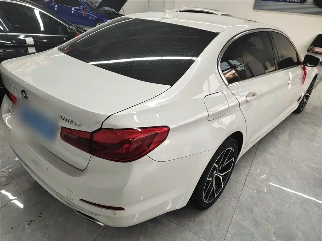BMW 5 Series 2020 525Li Luxury Package фото 5