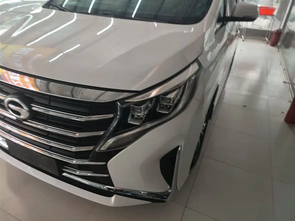 GAC Trumpchi Trumpchi M8 2021 Leading Show Series 390T Premium Edition фото 15