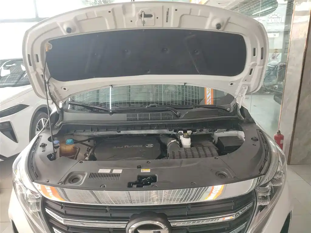 GAC Trumpchi Trumpchi M8 2021 Leading Show Series 390T Premium Edition фото 10