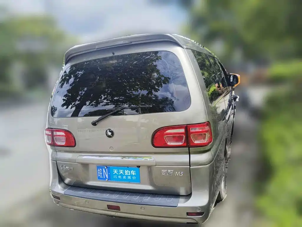 Фото 2 - Dongfeng Fengxing Lingzhi