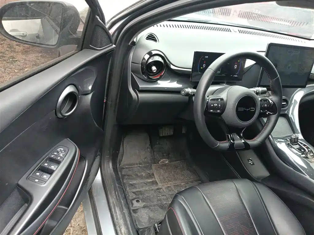 BYD E2