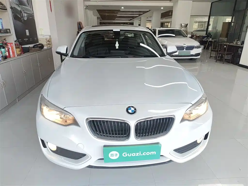 BMW 2 Series (Import) 2015 218i фото 3