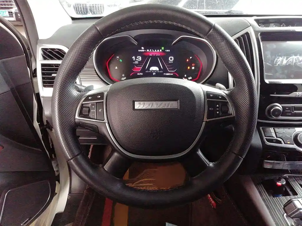 Haval H9 2020 2.0T Gasoline 4WD Premium 5-Seater фото 8