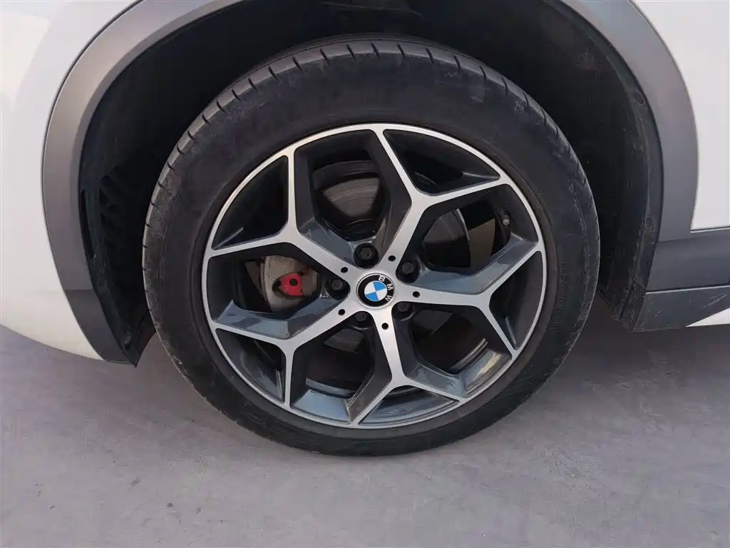 BMW X2 (Import) 2019 sDrive20i M Off-Road Package China VI фото 25